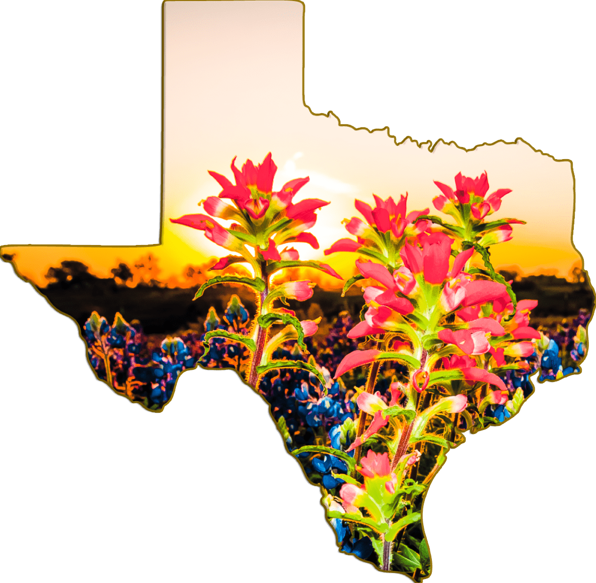 Wimberley Puzzle Company Indian Paintbrush | Texas-Shaped Magnet